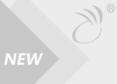 ʲô�ǿ���������ɸ��